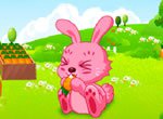 Jogos de animais: Campo de Cenouras