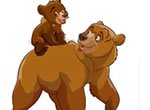 Jogos de colorir: Irm�o Urso